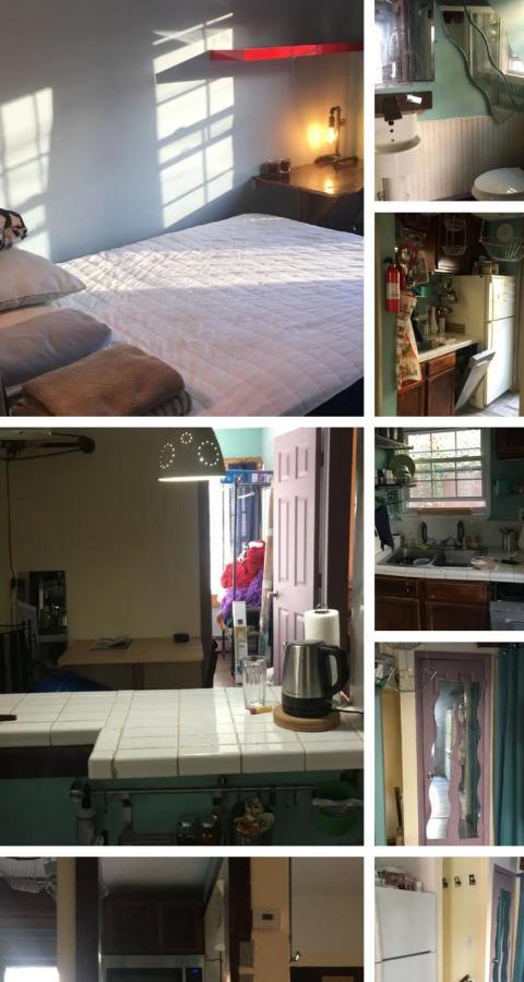 纽黑文Rock Pad For Yale, Visitors, Nurses, Staff公寓 外观 照片
